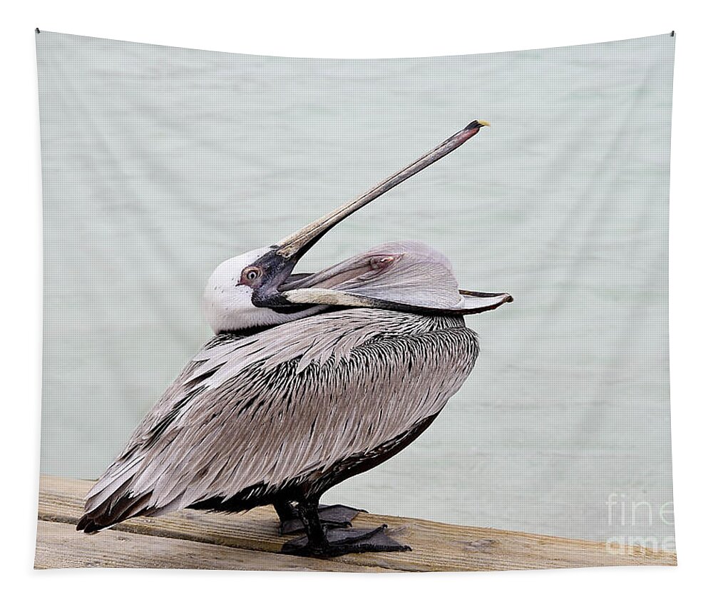 Bird Tapestry featuring the photograph Open Wide by Teresa Zieba