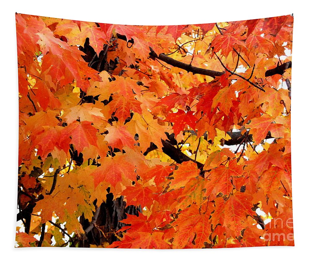 Maple Tree Tapestry featuring the photograph Orange And Reds And Some Yellow Too by Eunice Miller