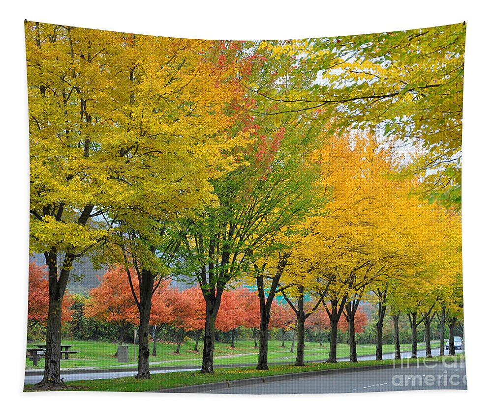 Fall Tapestry featuring the photograph Row Of Trees by Kirt Tisdale