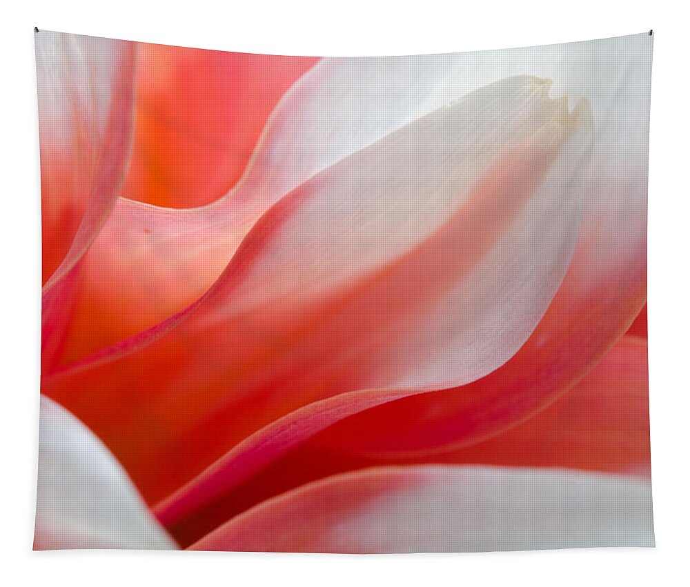 Dahlia Tapestry featuring the photograph Orange Dream by Kathy Paynter