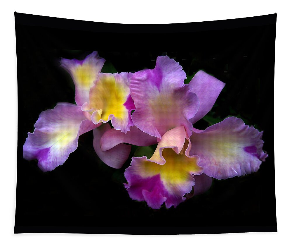 Flowers Tapestry featuring the photograph Orchid Embrace by Jessica Jenney