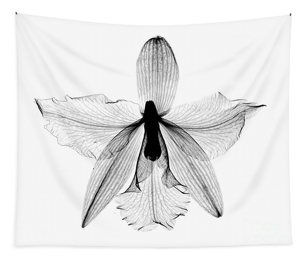Nature Tapestry featuring the photograph Orchid Flower X-ray by Bert Myers