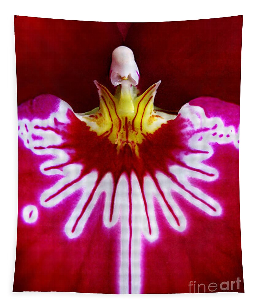 Macro Tapestry featuring the photograph Orchid Harlequinn-Pansy Orchid by Jennie Breeze