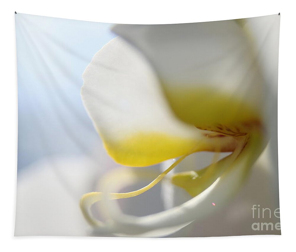 Orchid Tapestry featuring the photograph Orchid Melody by Neal Eslinger
