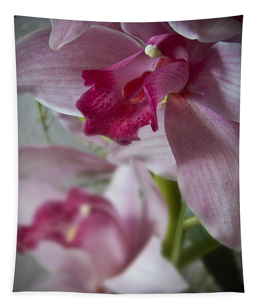Flowers Tapestry featuring the photograph Orchid Pink I Still Life Flower Art Poster by Lily Malor