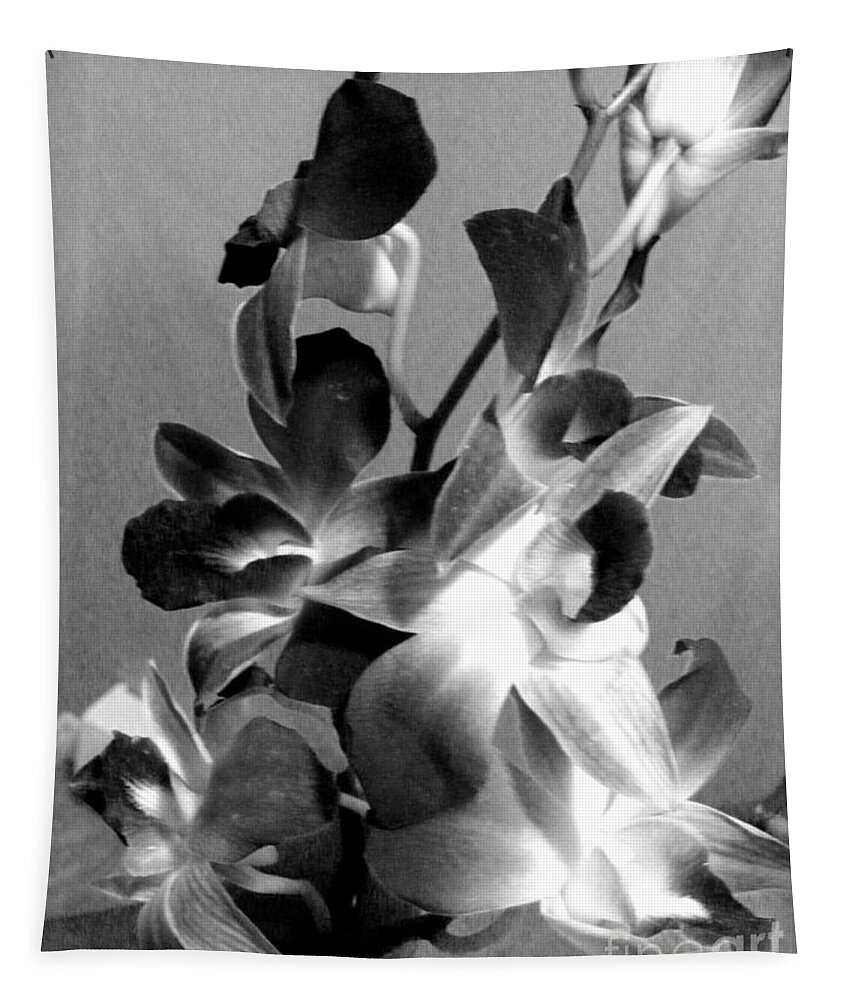 Black And White Photography Tapestry featuring the photograph Orchids 2 BW by Barbara A Griffin