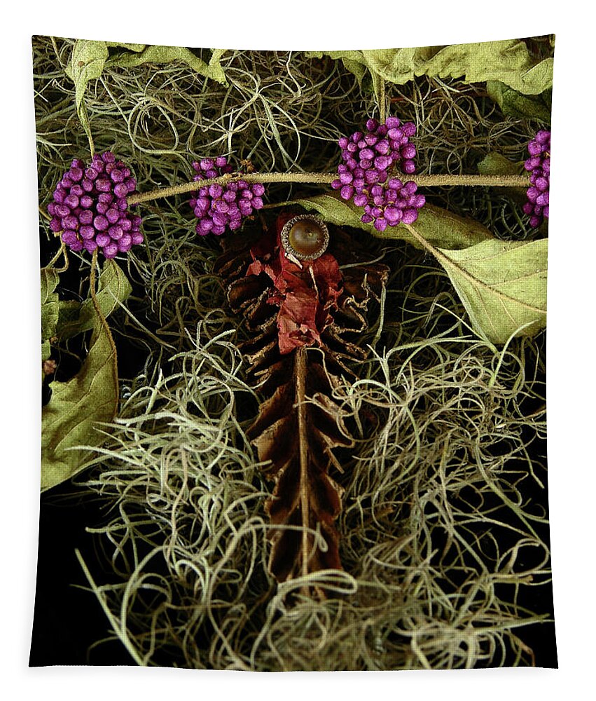 Photography Tapestry featuring the photograph Organic Assemblage by Julianne Felton
