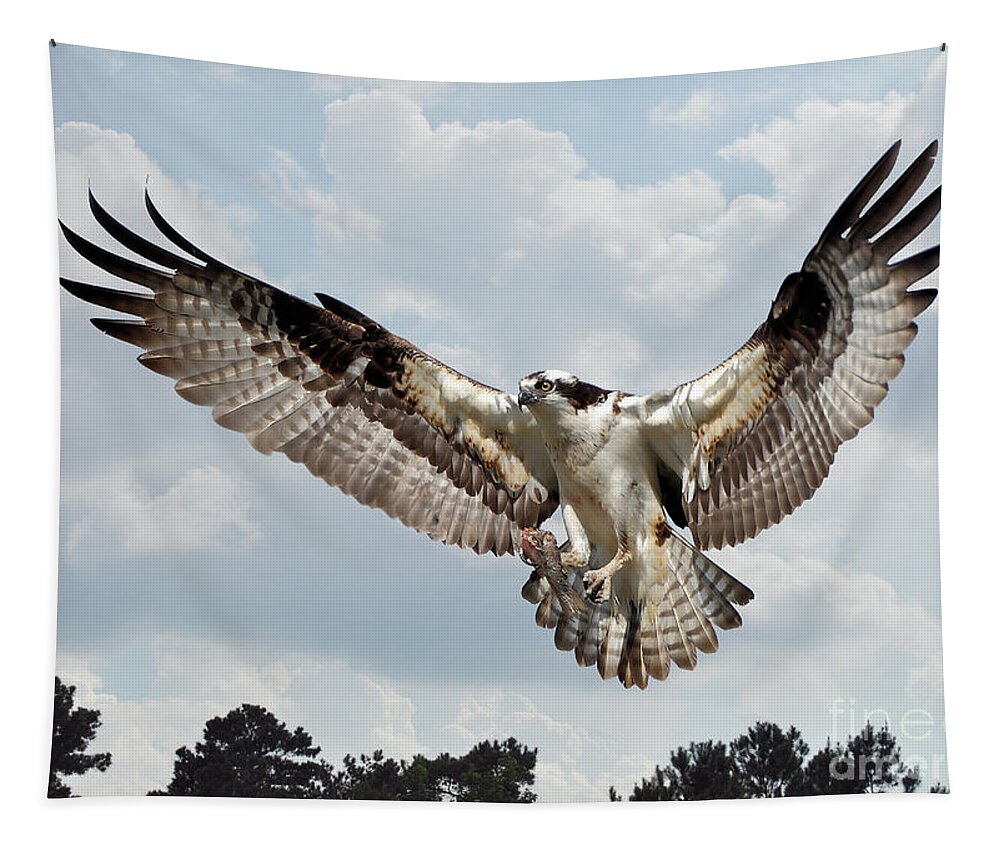 Birds Tapestry featuring the photograph Osprey With Fish In Talons by Kathy Baccari