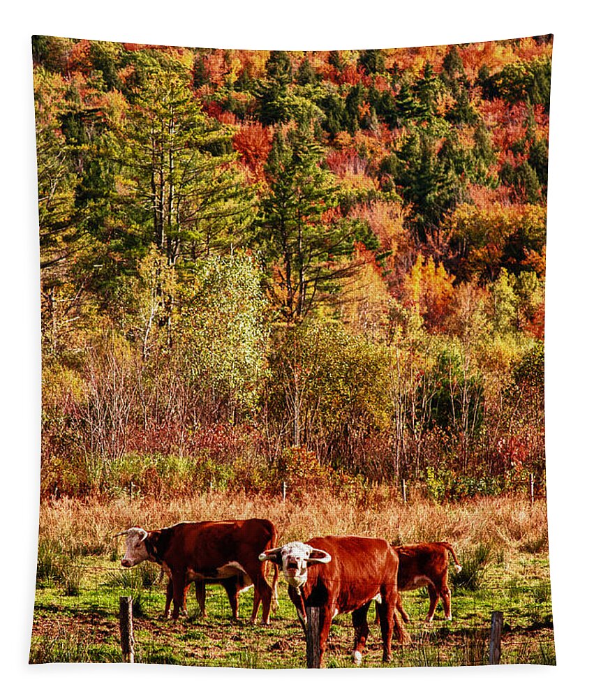 Autumn Foliage Tapestry featuring the photograph Cow complaining about much by Jeff Folger
