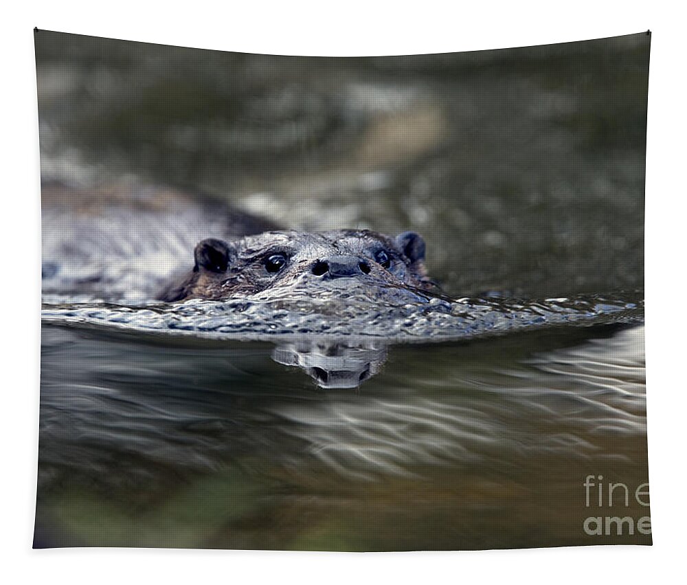 Photo Tapestry featuring the photograph Otter swimming, Norfolk. by Tony Mills