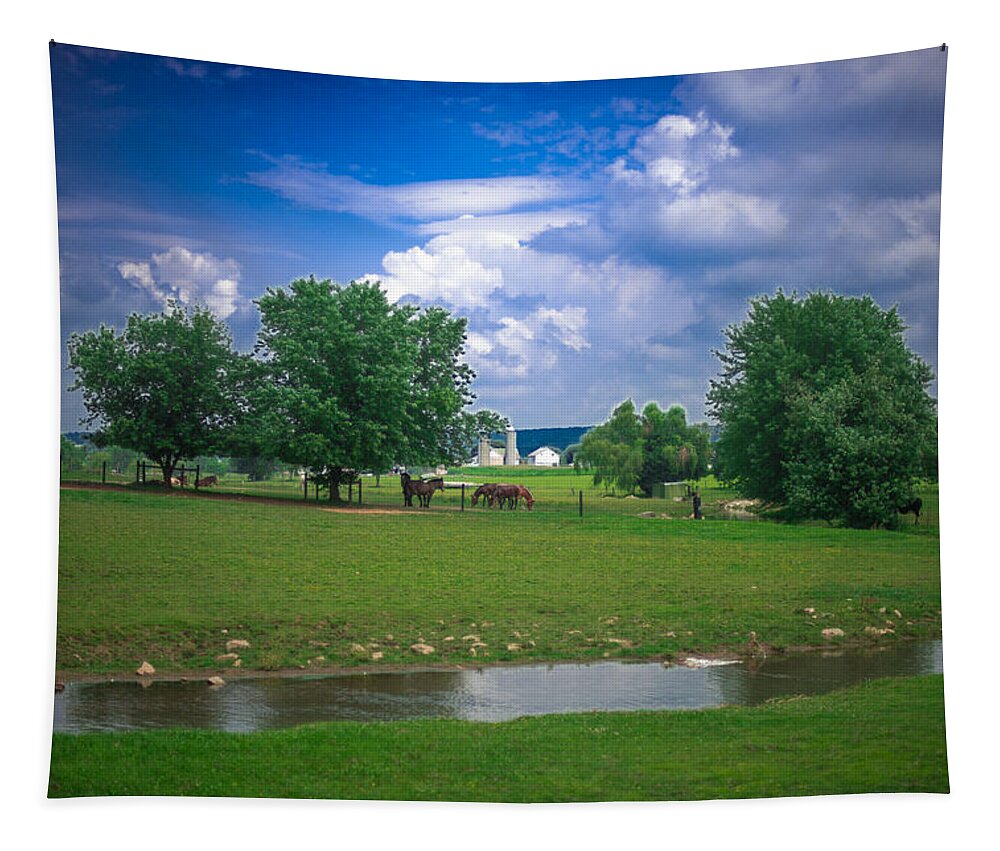 Farm Tapestry featuring the photograph Out to Pasture by Joseph Desiderio