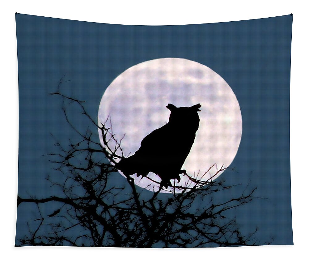 Nature Tapestry featuring the photograph Owl and Blue Moon by Peggy Urban