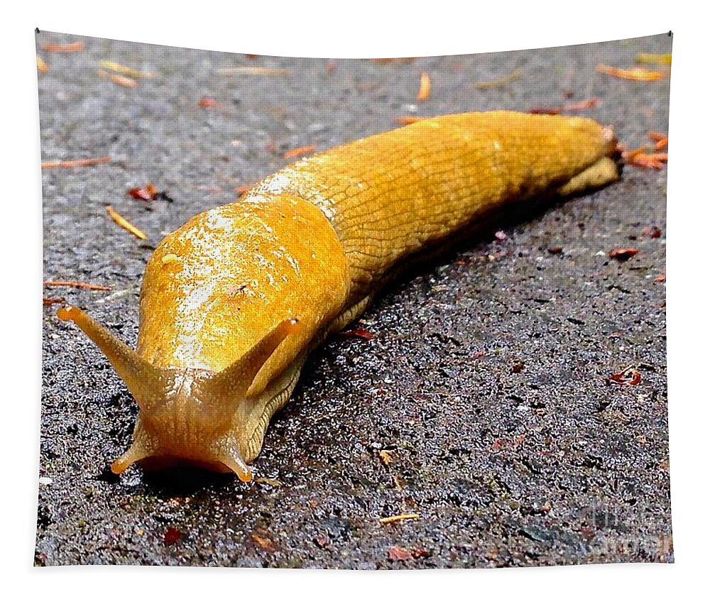 Photography Tapestry featuring the photograph Pacific Banana Slug by Sean Griffin