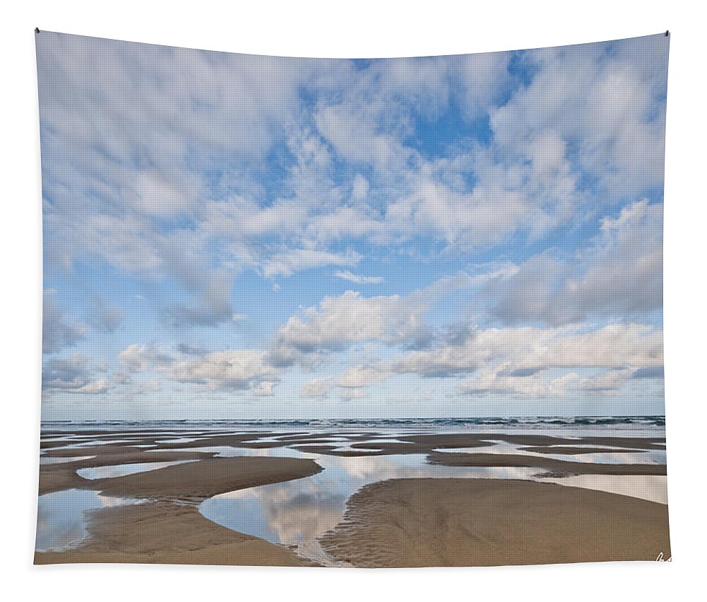 Beach Tapestry featuring the photograph Pacific Ocean Beach at Low Tide by Jeff Goulden