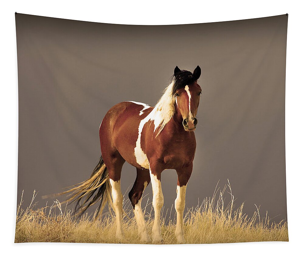 Wild Mustangs Tapestry featuring the photograph Paint Filly Wild Mustang Sepia Sky by Rich Franco