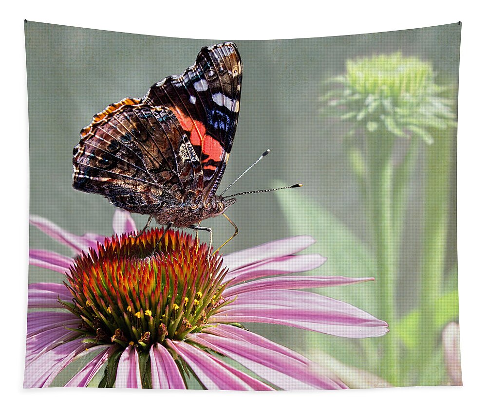 Painted Lady Tapestry featuring the photograph Painted Lady on Coneflower by Barbara McMahon
