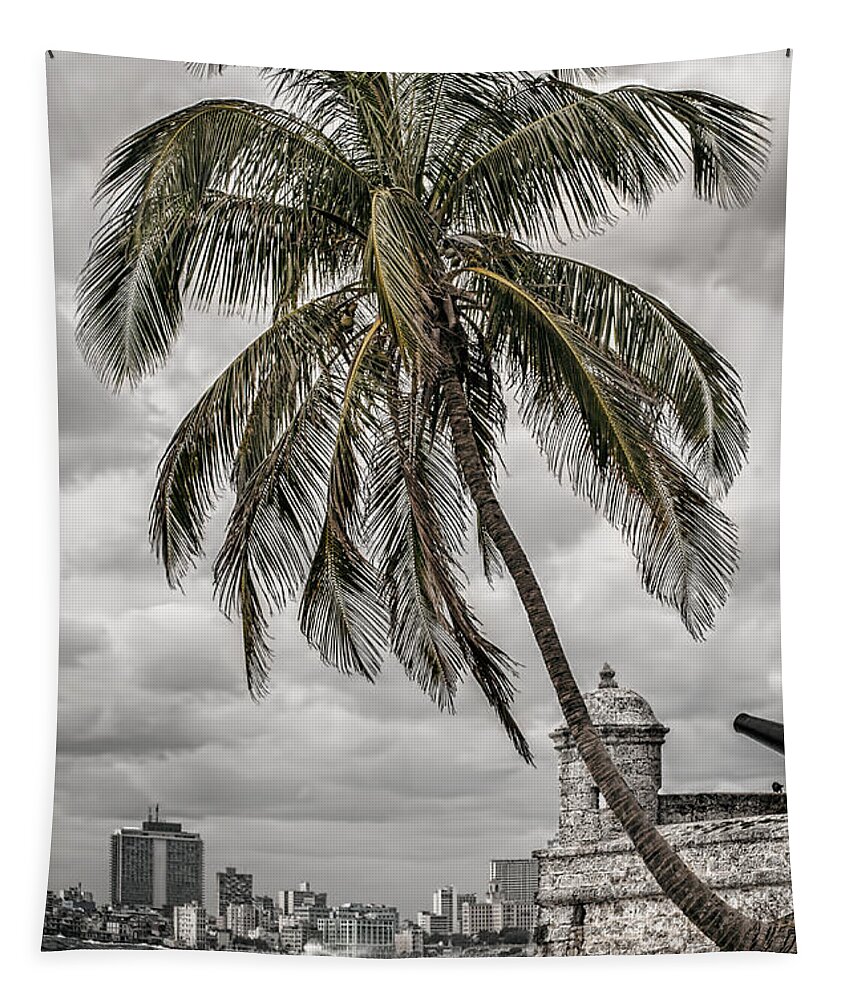 Havana Bay Tapestry featuring the photograph Palm tree in Havana bay by Jose Rey