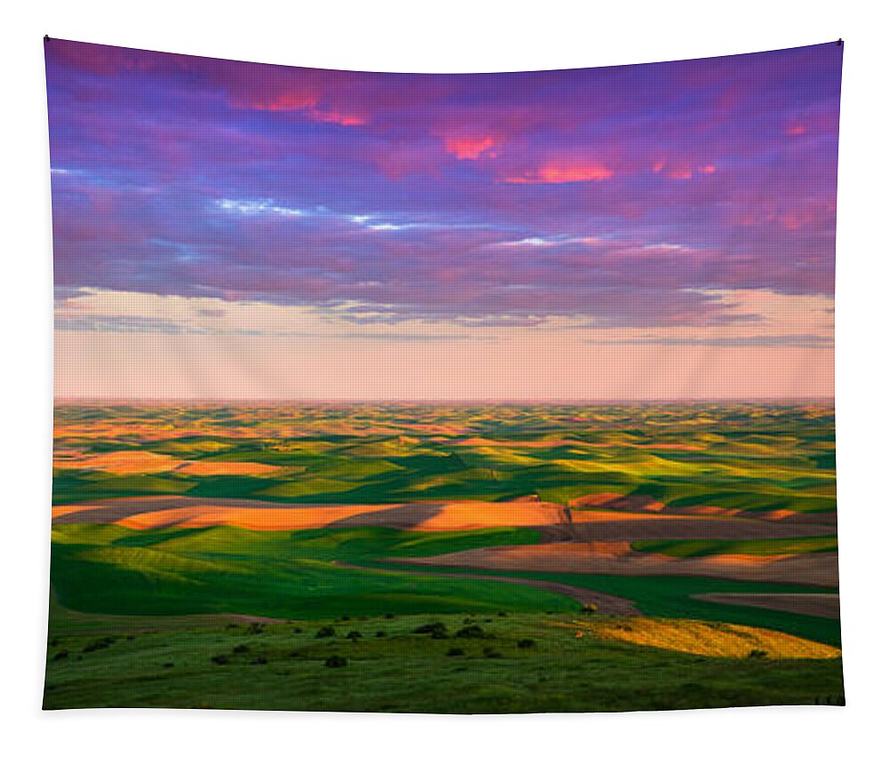Agricultural Tapestry featuring the photograph Palouse Land and Sky by Inge Johnsson