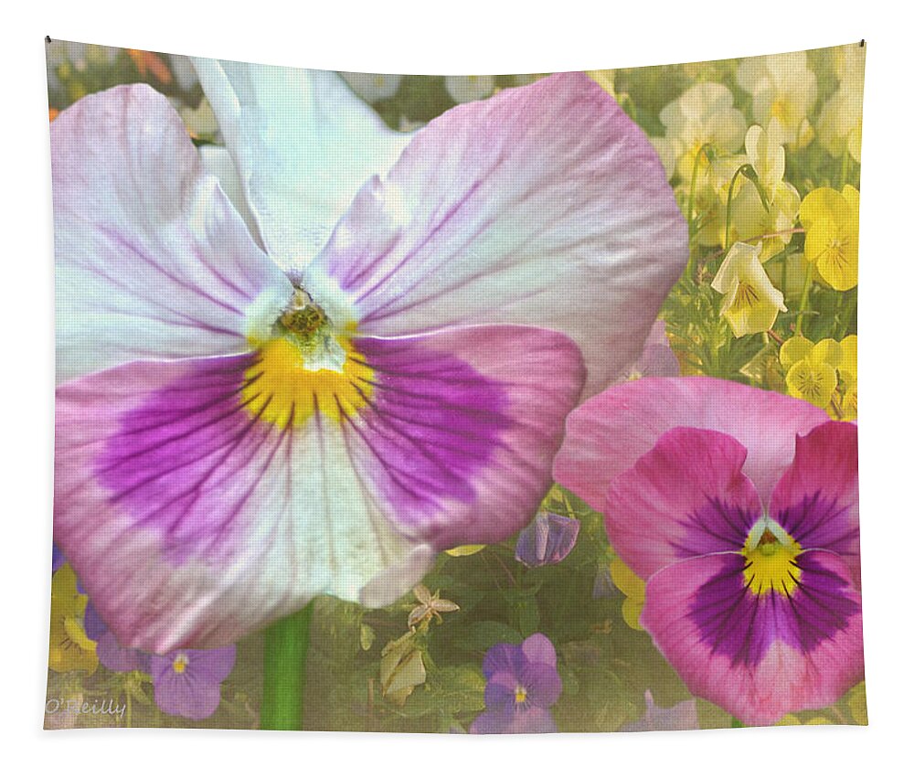 Pansy Tapestry featuring the photograph Pansy Duo by Sandi OReilly