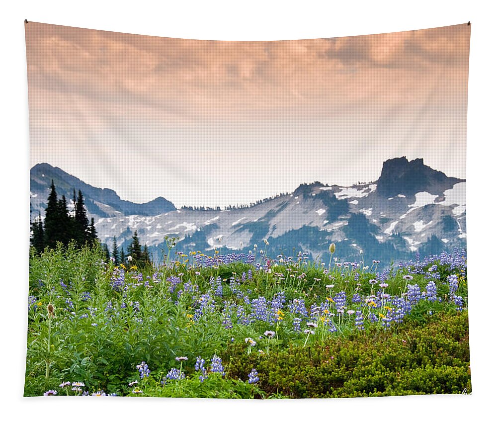 Alpine Tapestry featuring the photograph Paradise Meadows and the Tatoosh Range by Jeff Goulden