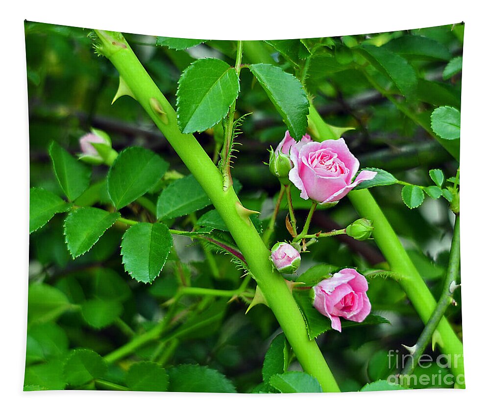 Rose Tapestry featuring the photograph Parallel Vines by Al Powell Photography USA
