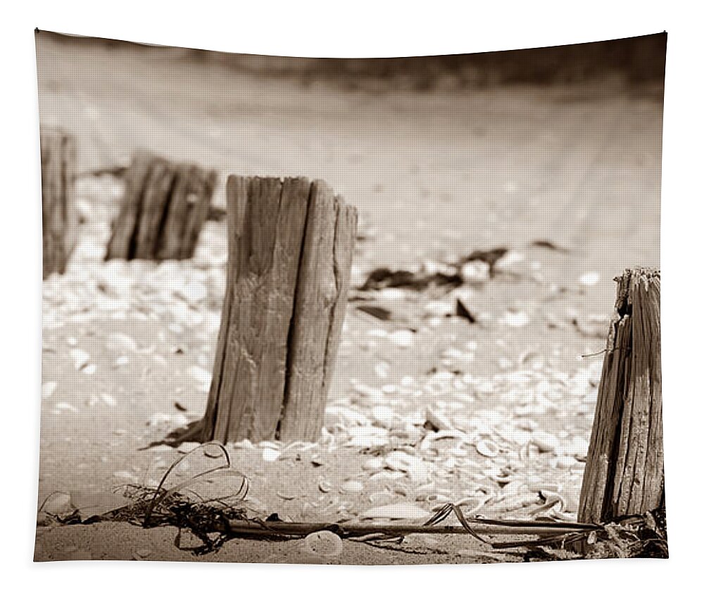 Beach Post Tapestry featuring the photograph Passages by Angela Murray
