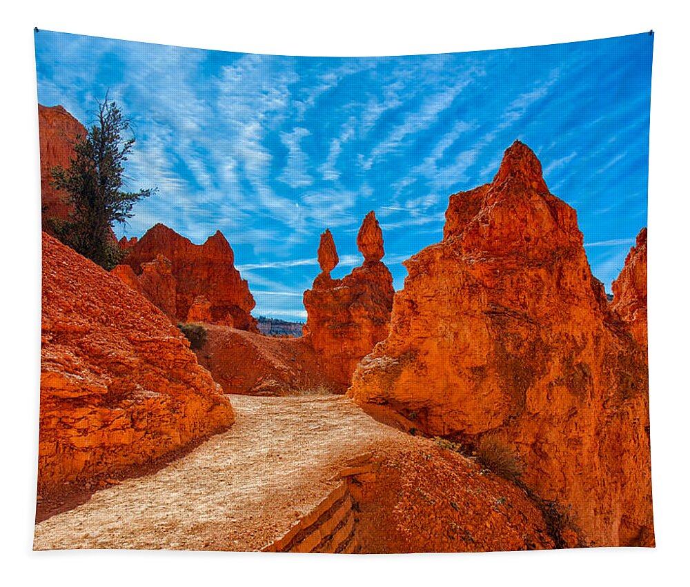 Landscape Tapestry featuring the photograph Passages by John M Bailey