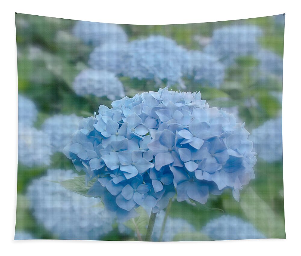 Flower Tapestry featuring the photograph Pastel Blue Hydrangea by Kim Hojnacki