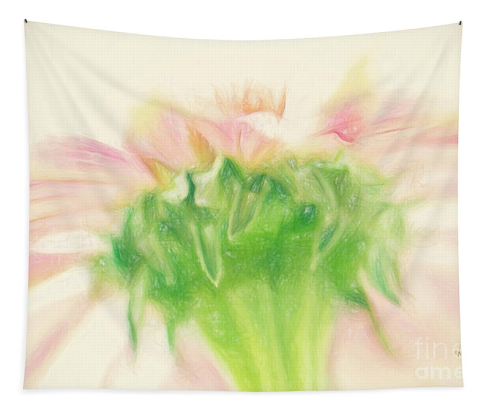 Zinnia Tapestry featuring the photograph Pastel Pink Zinnia by Lois Bryan