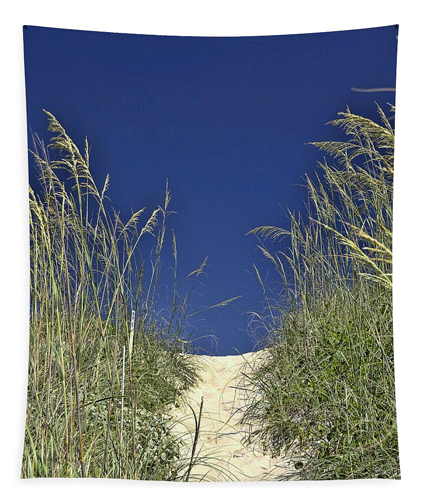 Path Through The Dunes Tapestry featuring the photograph Path Through the Dunes by Allen Beatty