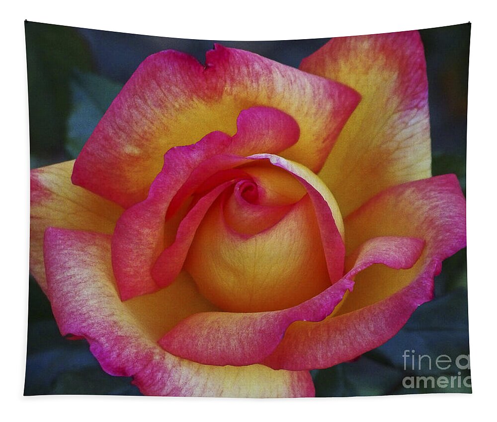Flowers; Roses; Nature; Pink; Yellow Tapestry featuring the photograph Peace in Floral Format by Kathy McClure