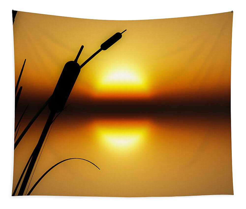 Tranquil Tapestry featuring the photograph Peaceful Dawn by Bob Orsillo
