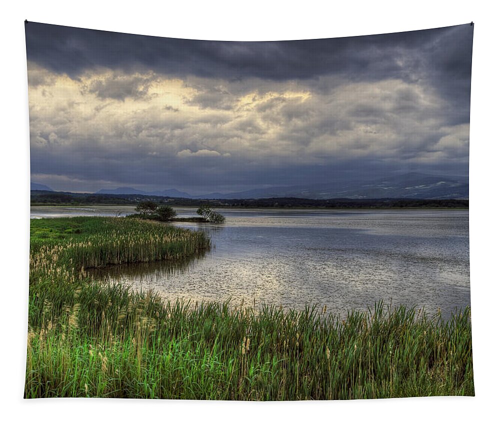 Reflection Tapestry featuring the photograph Peaceful evening at the lake by Ivan Slosar