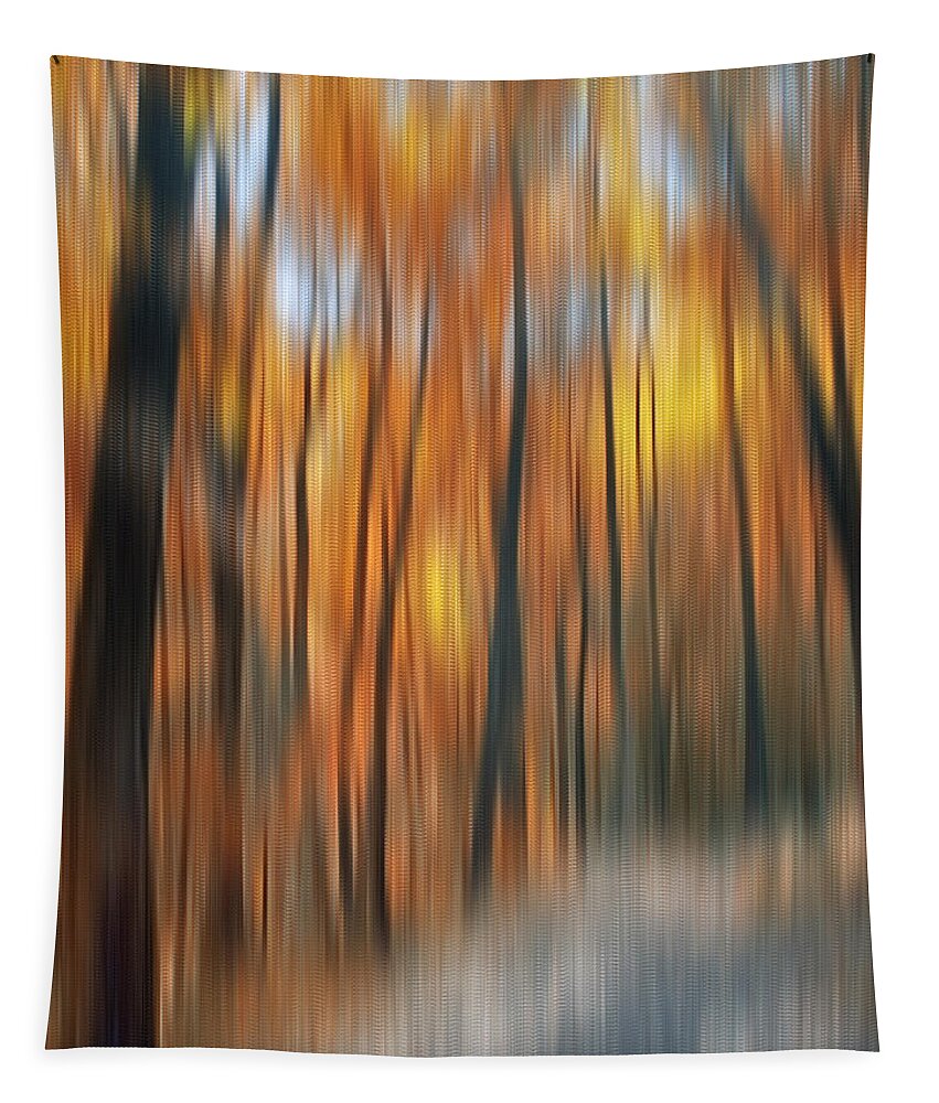 Autumn Tapestry featuring the photograph Peaceful Path by Susan Candelario