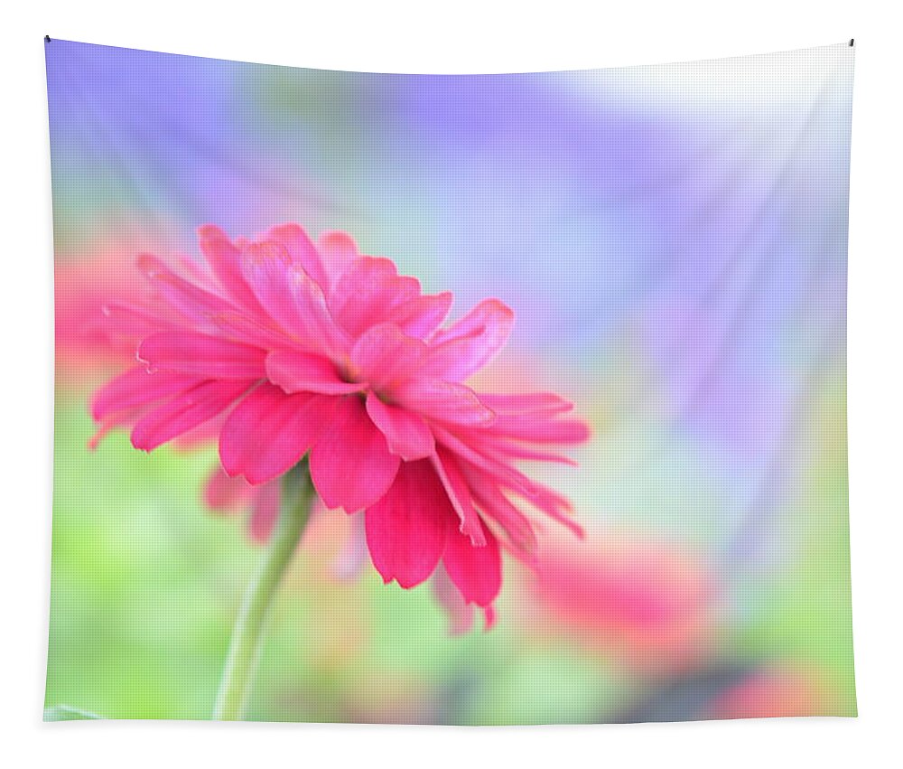 Pink Tapestry featuring the photograph Peaceful Pink by Kathy Paynter