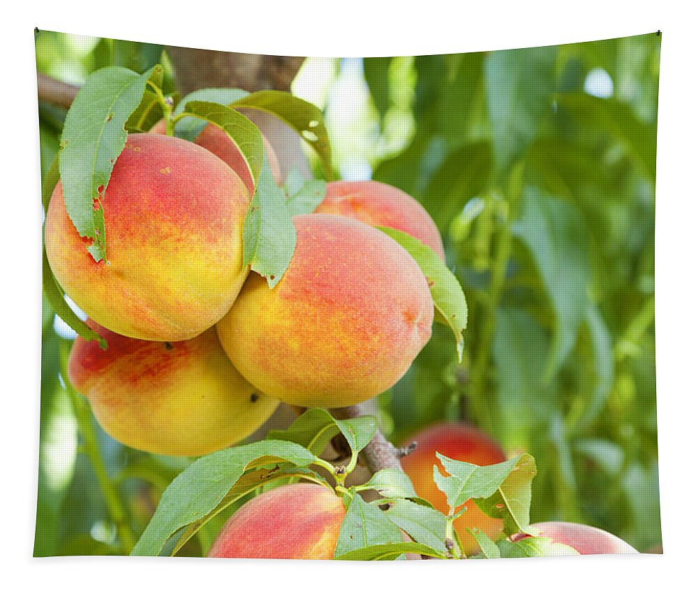 Peaches Tapestry featuring the photograph Peaches by Alexey Stiop