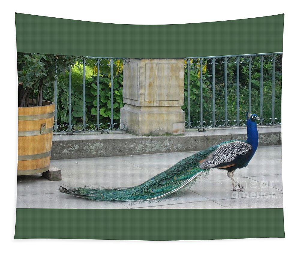 Peacock Tapestry featuring the photograph Peacock 3 by Nora Boghossian