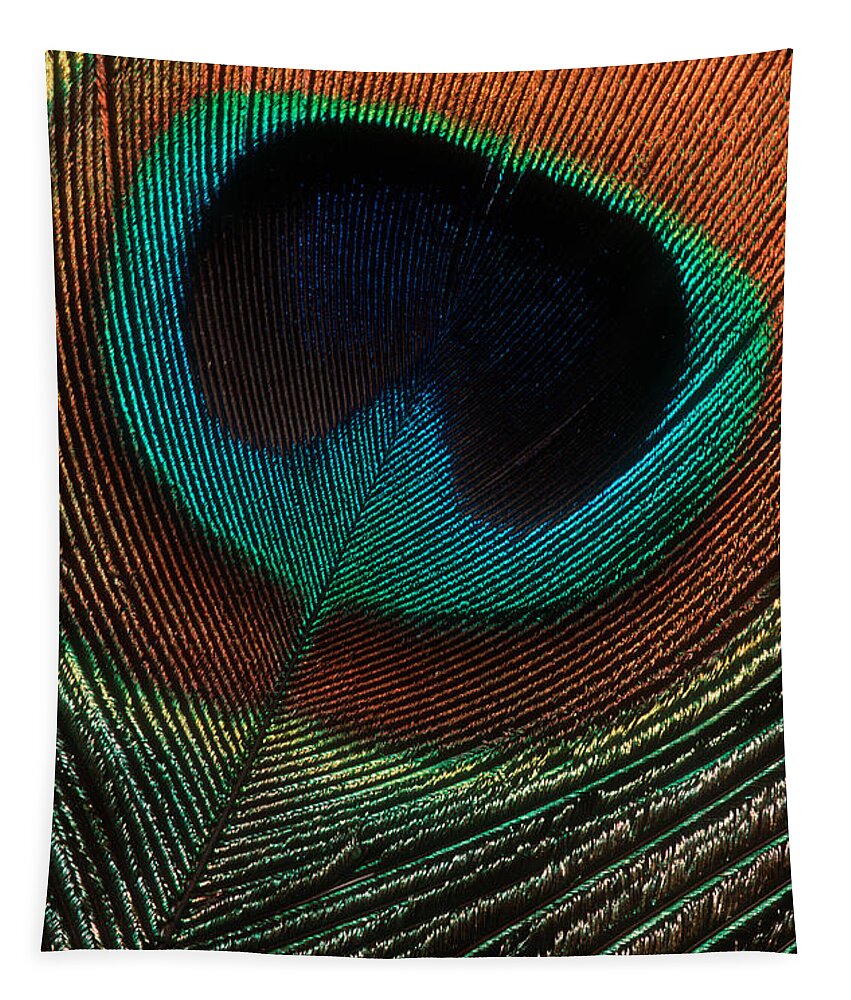Peacock Tapestry featuring the photograph Peacock Feather by Jerry Fornarotto