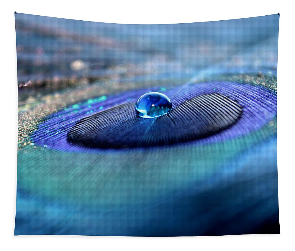 Peacock Feather Tapestry featuring the photograph Peacock Potion by Krissy Katsimbras