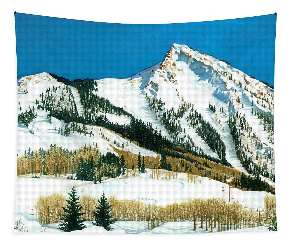 Water Color Paintings Tapestry featuring the painting Peak Adventure by Barbara Jewell