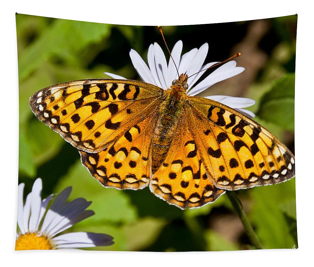 Aster Tapestry featuring the photograph Pearl Border Fritillary Butterfly on an Aster Bloom by Jeff Goulden