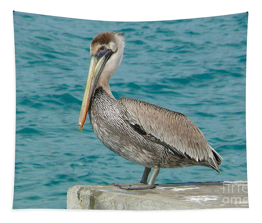 Pelican Tapestry featuring the photograph Pelican by Amanda Mohler