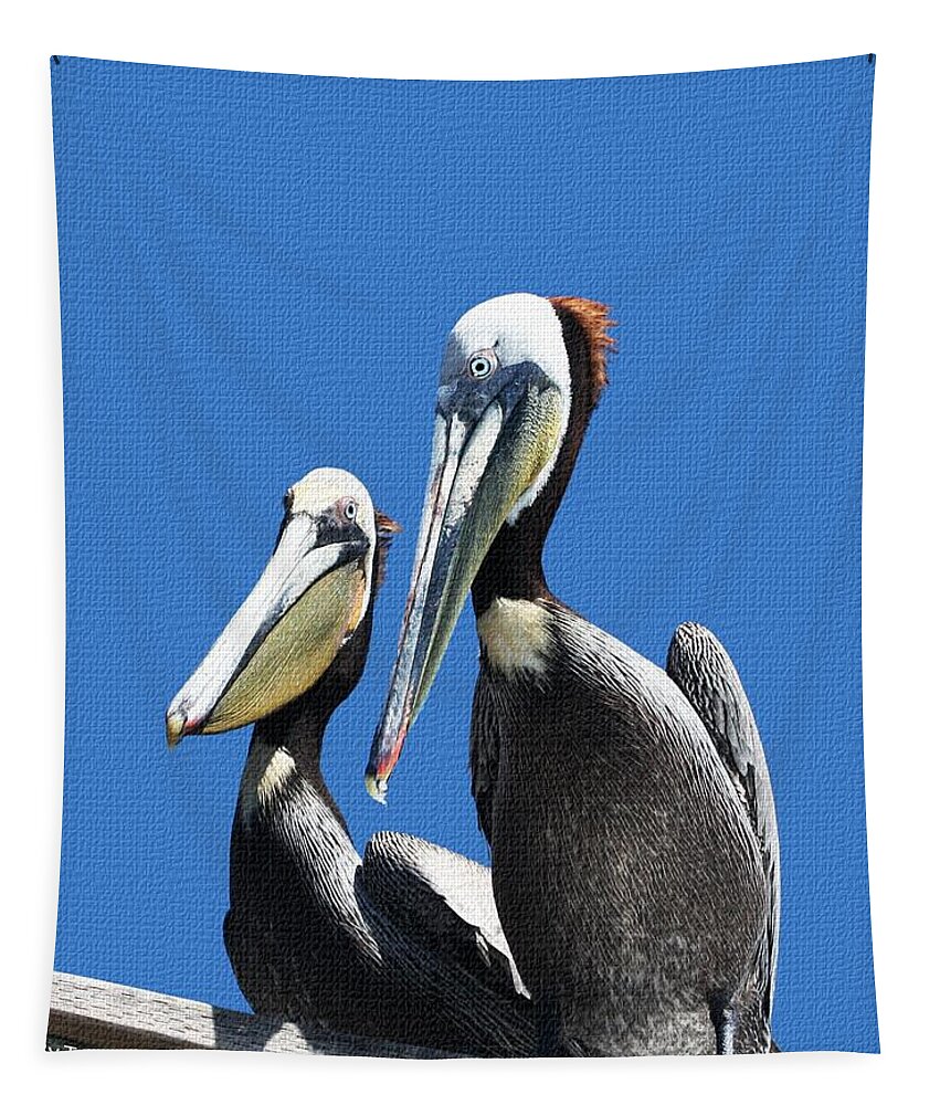 Pelican Pair Tapestry featuring the photograph Pelican Pair by Tom Janca
