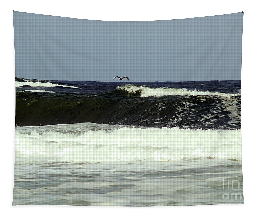 Fine Art Print Tapestry featuring the photograph Pelican Sighting by Patricia Griffin Brett