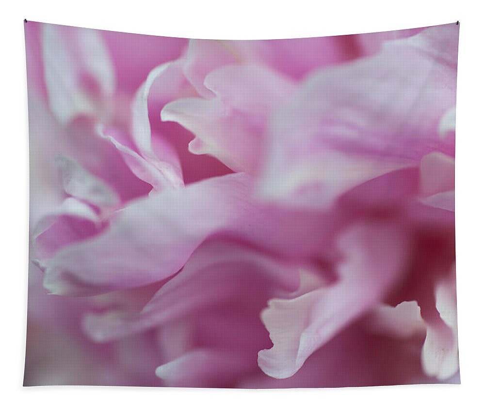Flower Tapestry featuring the photograph Peony Macro 1 by Jenny Rainbow
