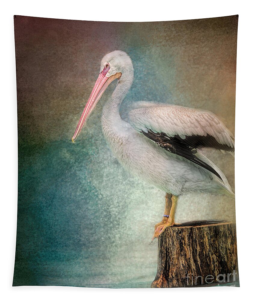 American White Pelican Tapestry featuring the photograph Perched Pelican by Jai Johnson