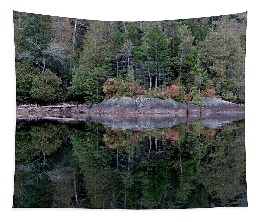 Mirror Tapestry featuring the photograph Perfect Mirror by Jean Macaluso