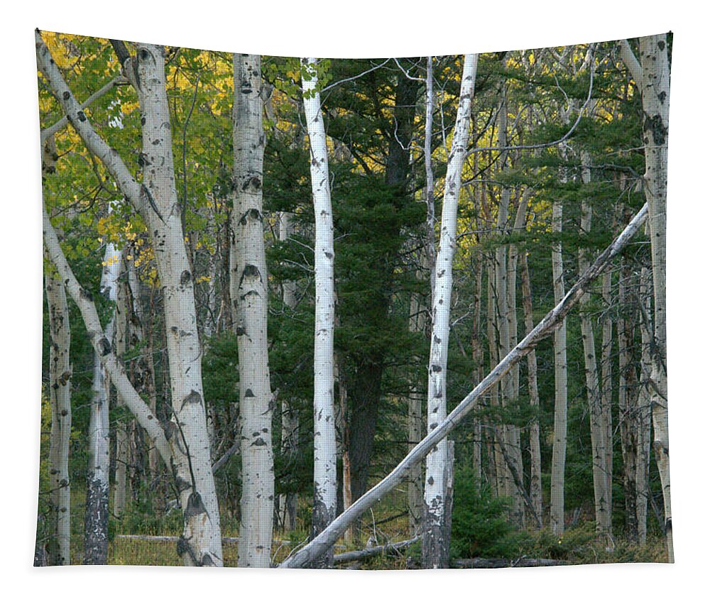 Gold Tapestry featuring the photograph Perfection In Nature by Frank Madia