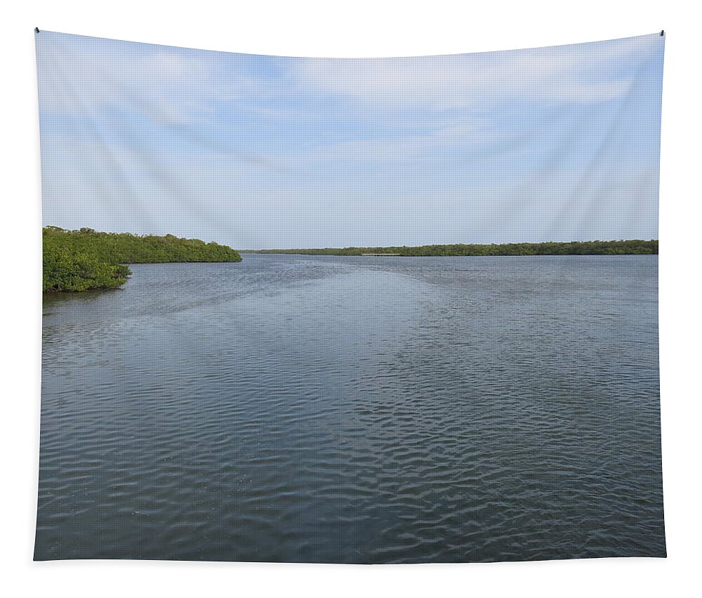 Perico Tapestry featuring the photograph Perico Bayou by Jean Macaluso