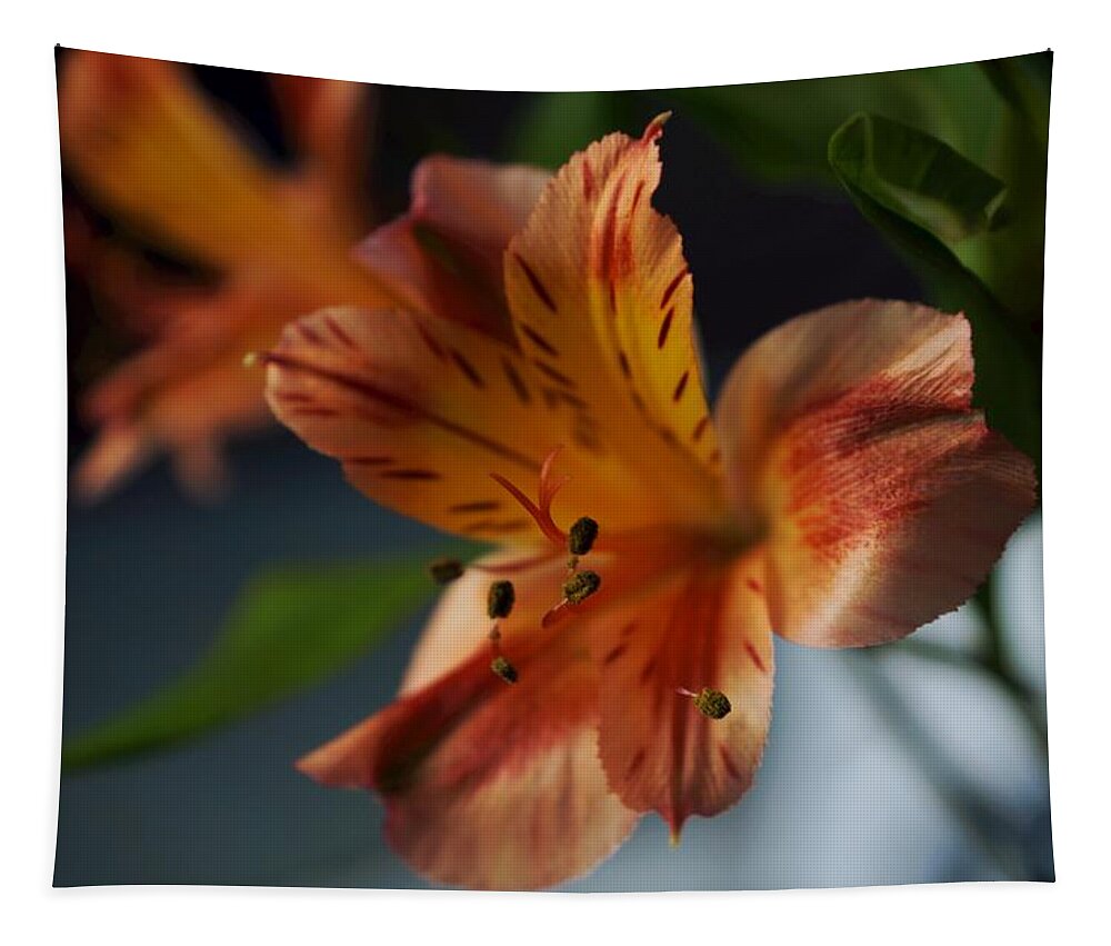 Matt Matekovic Tapestry featuring the photograph Peruvian Lily by Photographic Arts And Design Studio